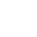 Practitioners Icon