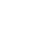 Globe Icon