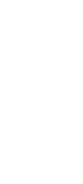Smartphone