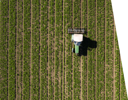 Agriculture-background